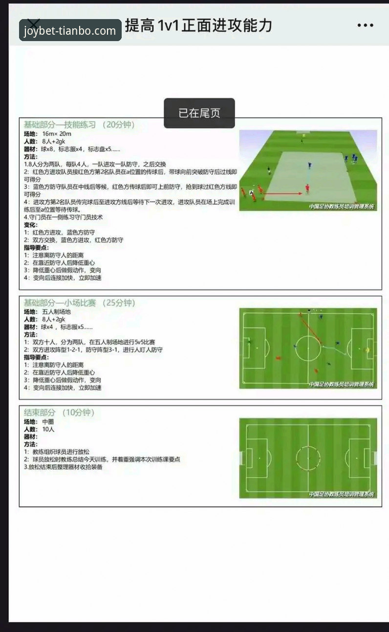 深度评测：天博体育平台如何解析意大利足球的“创新困境”